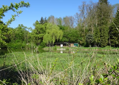 MTB: Unterschwarzach