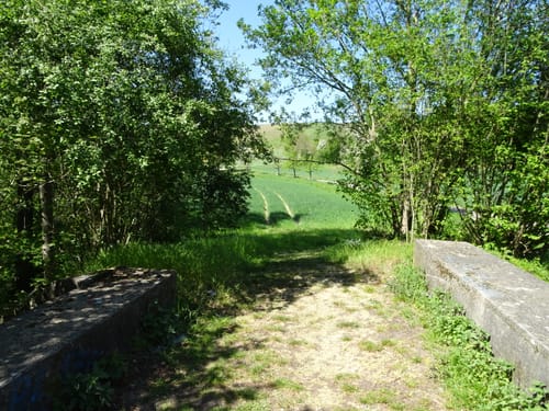 MTB Tour Östringen