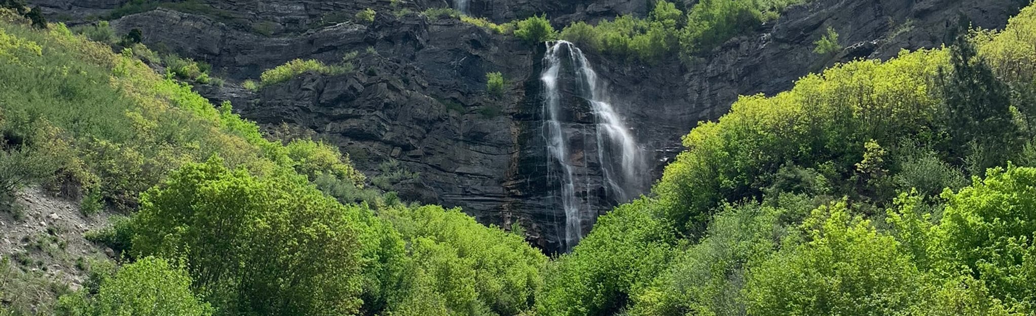 Bridal Veil Falls Trail 1591 Reviews, Map Utah AllTrails