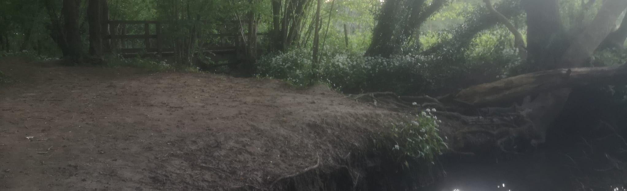 Fairlight Farm and Fairlight Wood Circular, West Sussex, England 36