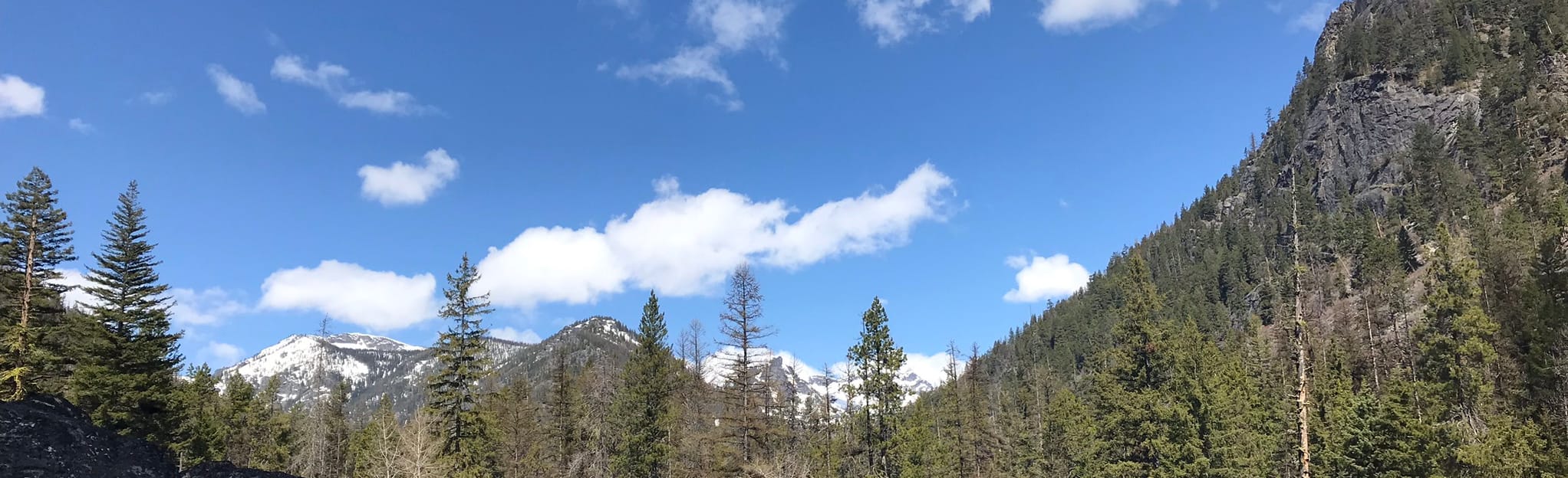 Bear Creek Trail: 327 Reviews, Map - Montana | AllTrails