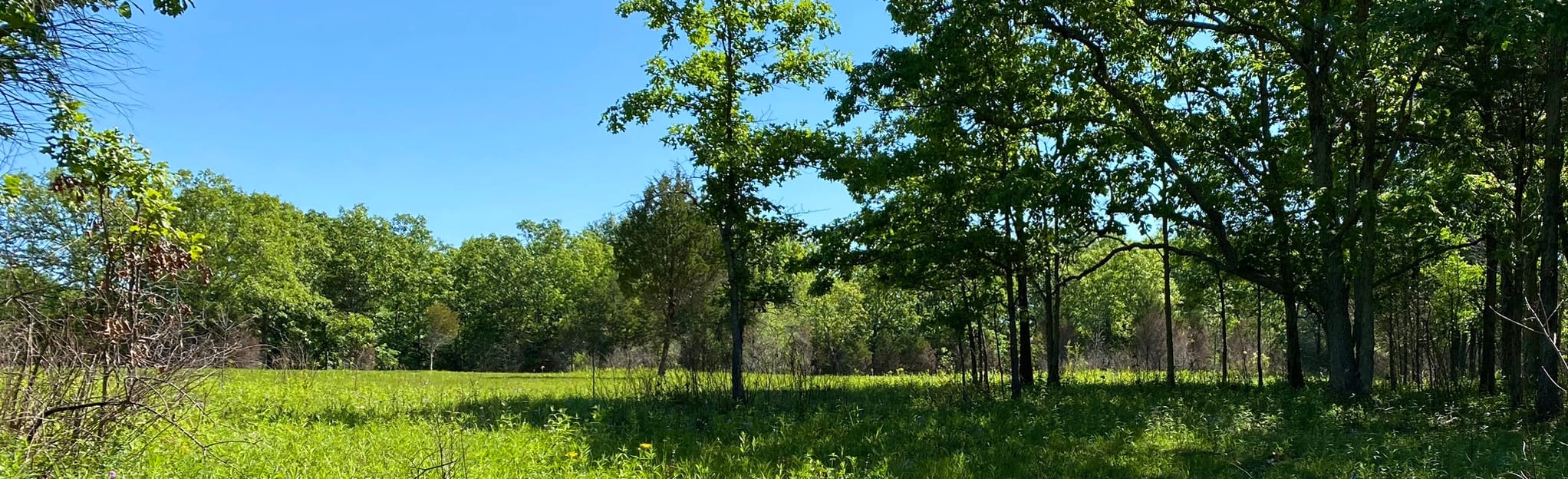 Step Back In Time: A Journey To Tennessee’s Couchville Cedar Glade State Natural Area