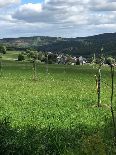 Rundwanderweg Derschen