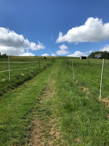 Rundwanderweg Derschen