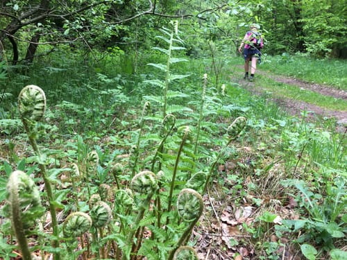 Hüttentour (Premiumwanderweg)