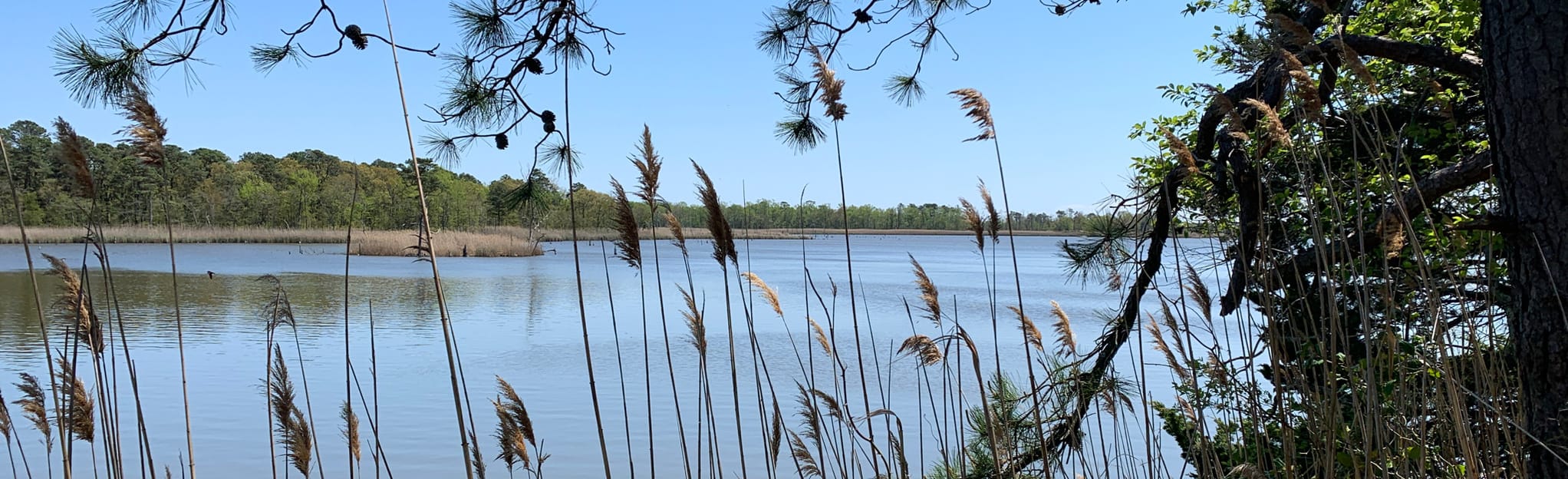 Earth Dike and Matt's Landing Pathway, New Jersey 29 Reviews, Map