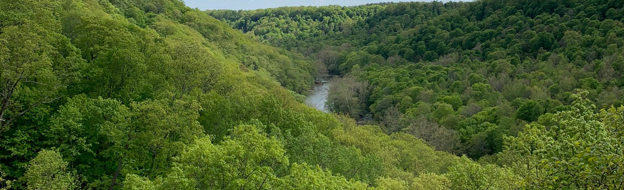 South Point Lookout Trail , Ohio - 605 Reviews, Map | AllTrails