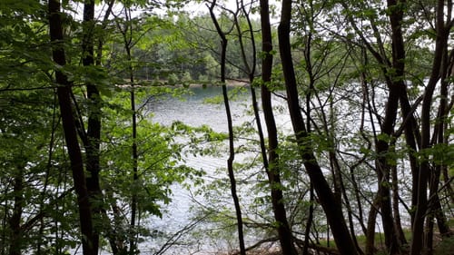 Zwischen Wupper und Panzertalsperre