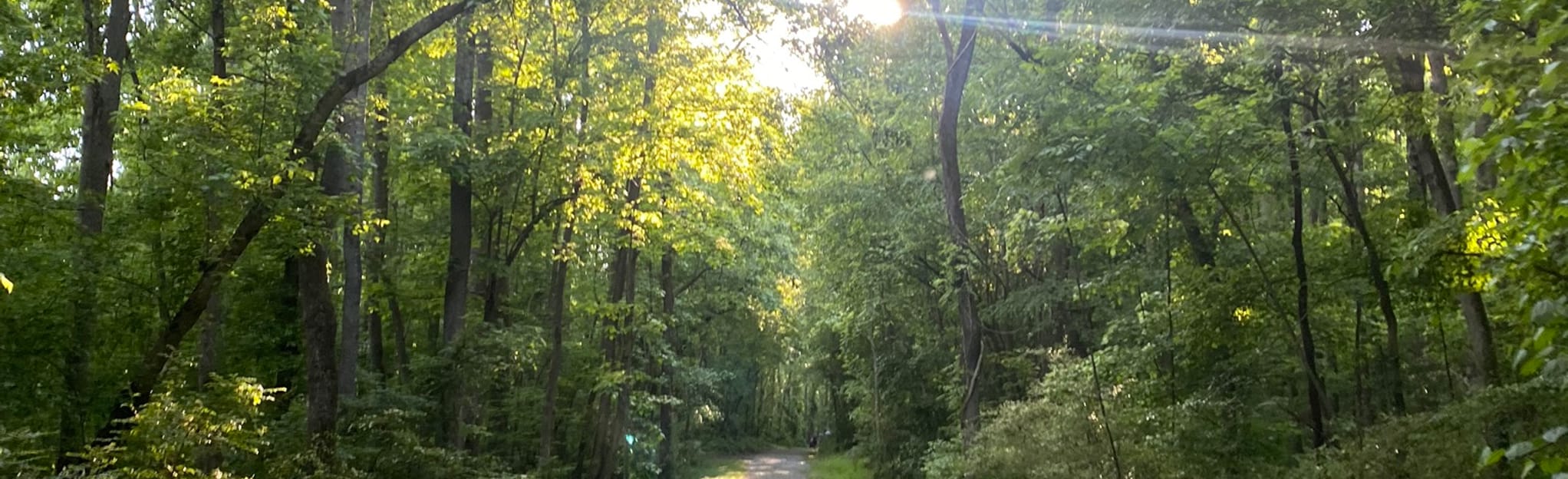 Deep River Trail 65 Reviews, Map North Carolina AllTrails