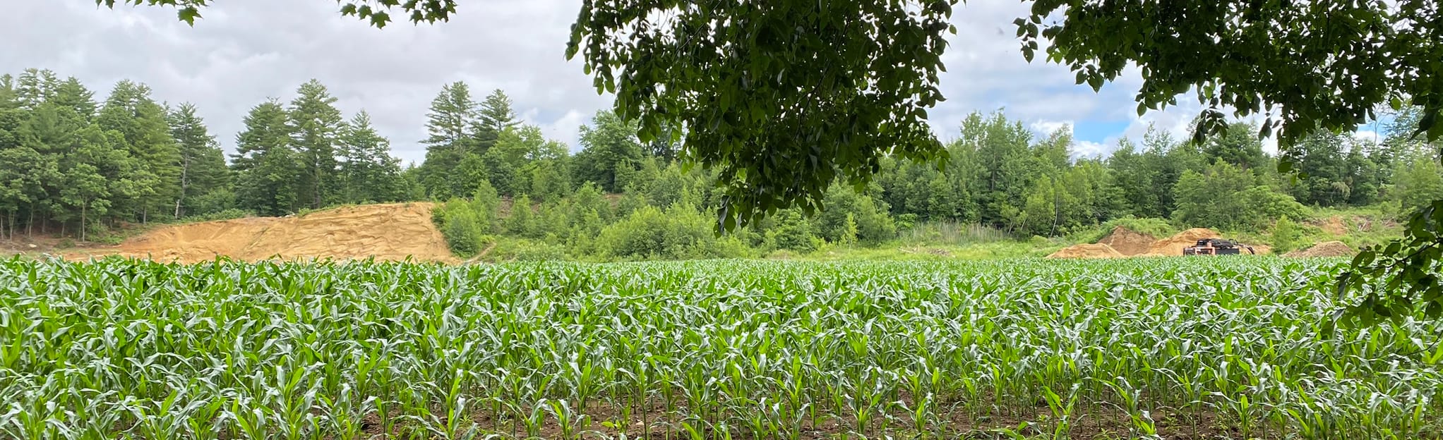 Howe Pond and Cranberry River Loop, Massachusetts 134 Reviews, Map AllTrails