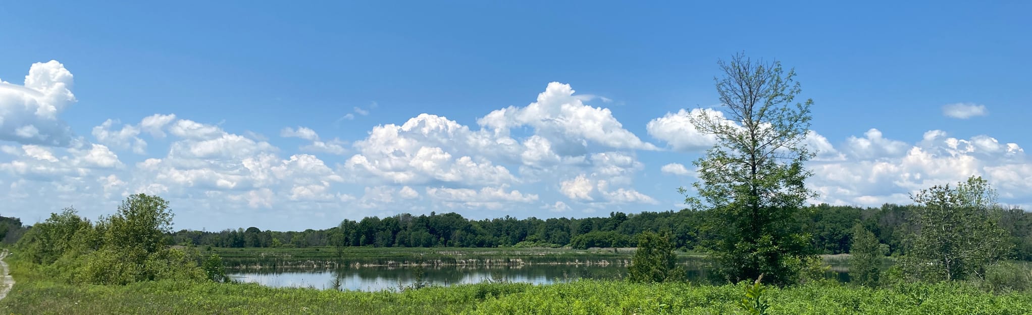 Holland Landing Anchor Loop, Ontario, Canada 45 Reviews, Map AllTrails