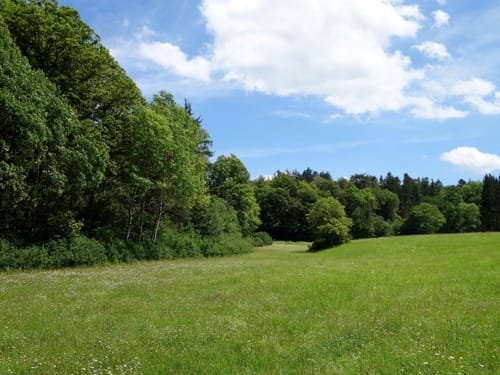Hohler Stein - Uetzing