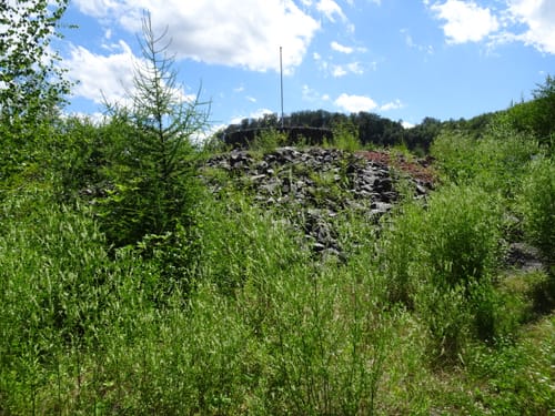 Mackenheimer Steinbruchweg