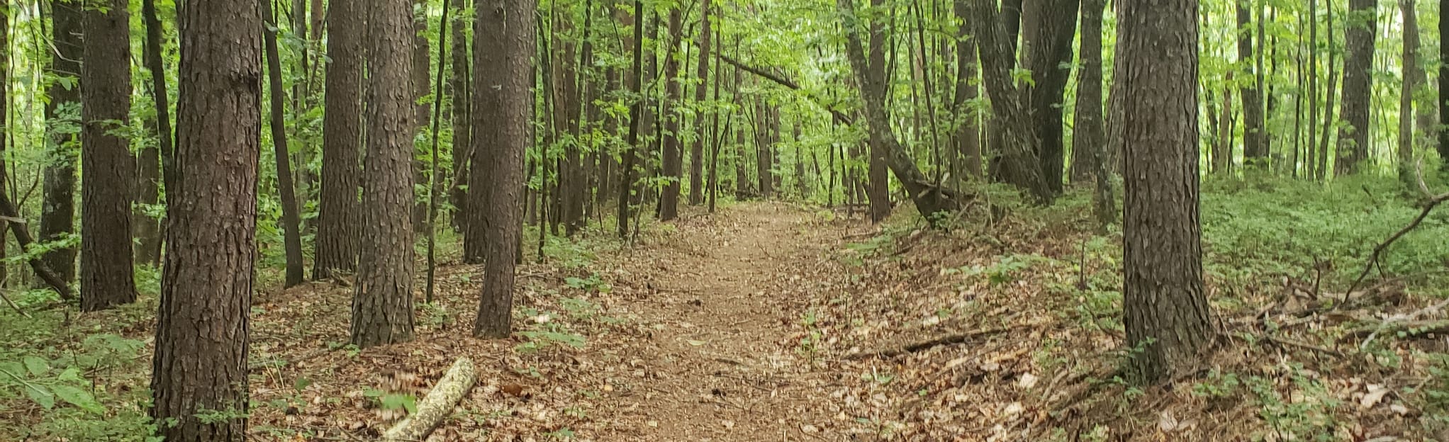 Bartarm Trail Sandy Ford to Warwoman Dell Map, Guide