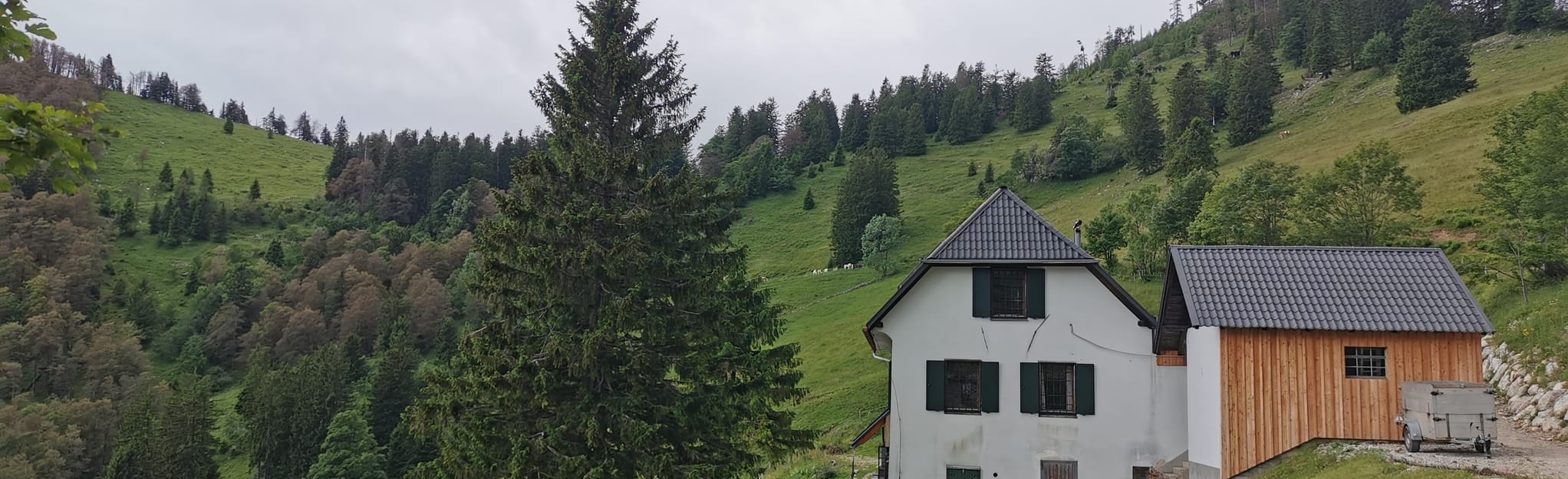 Über die Gradnalm auf den Pfannstein 5 Photos HauteAutriche