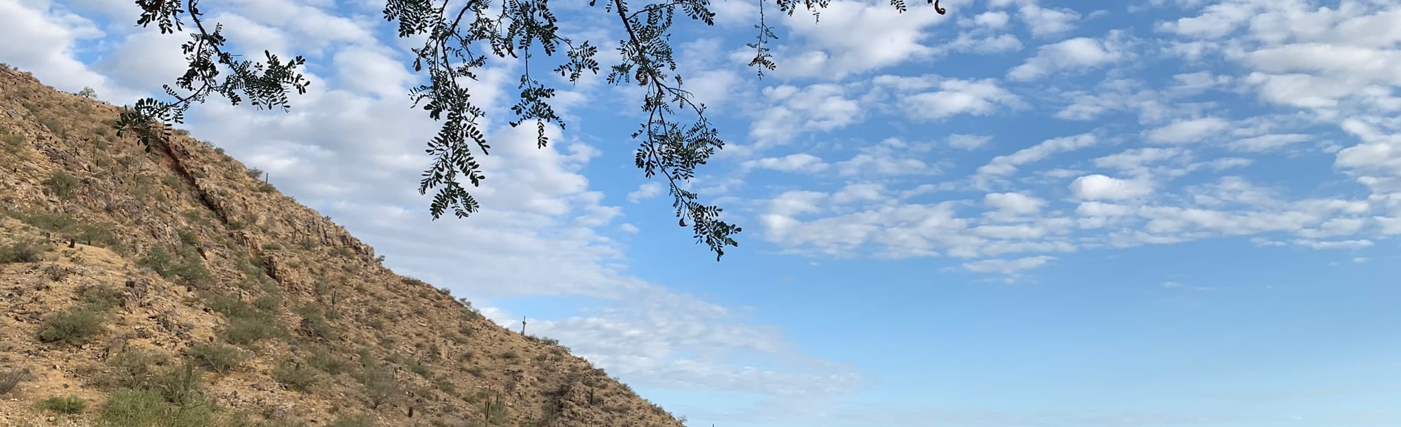 Kiwanis Trail to Telegraph Pass Lookout 1268 Reviews, Map Arizona