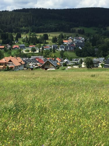 Auf dem Rennsteig zum Triniusstein