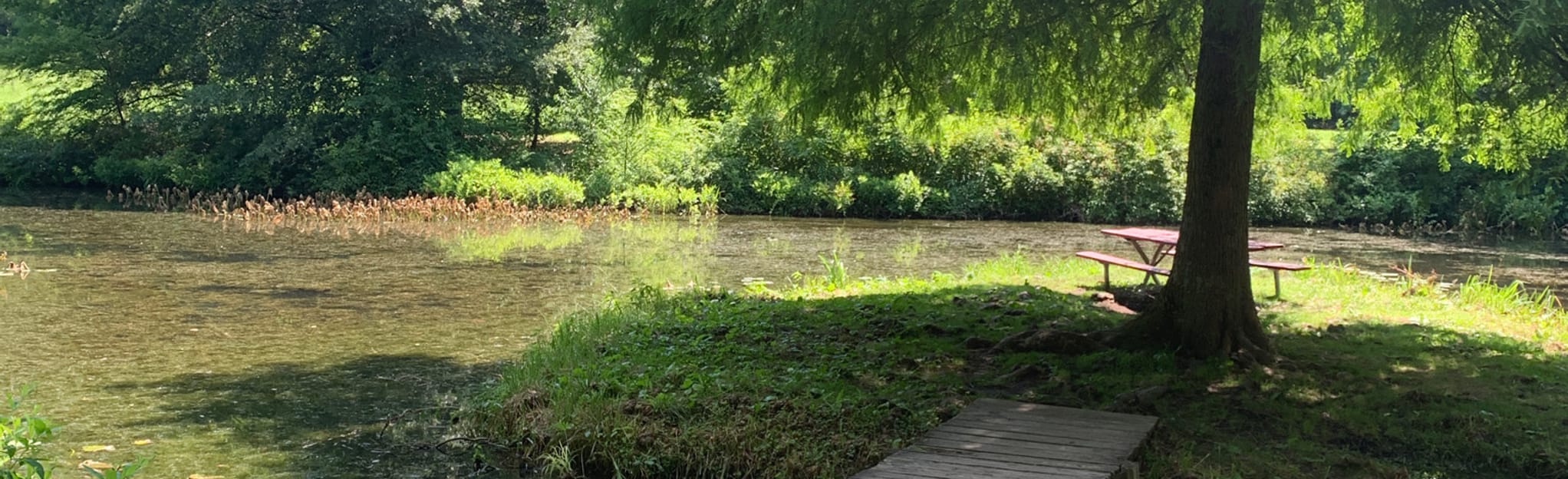 Pemberton Woodland Trail, Maryland 31 Reviews, Map AllTrails