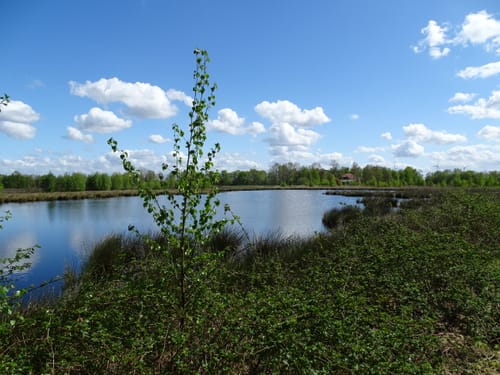 Naturerlebnistour Ovelgönne