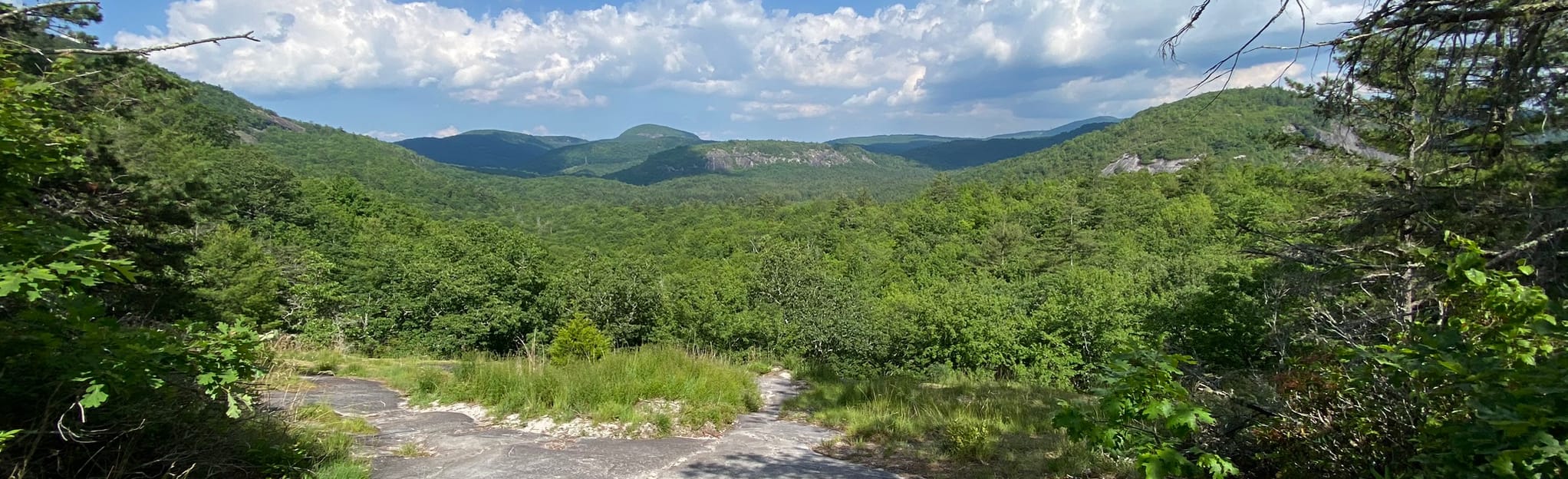 Deep Gap and Wilderness Falls Loop Trail, North Carolina 314 Reviews