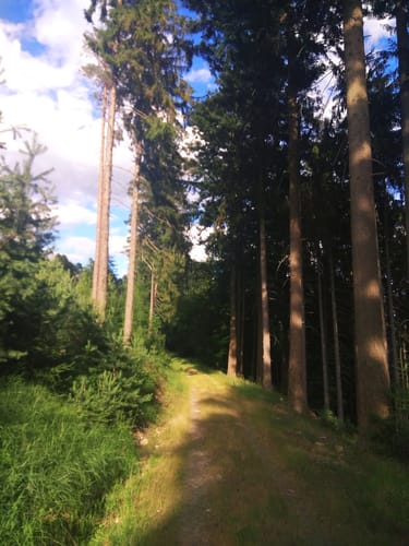 Durch den Kasselgrund ab Naturfreundehaus Günthersmühle