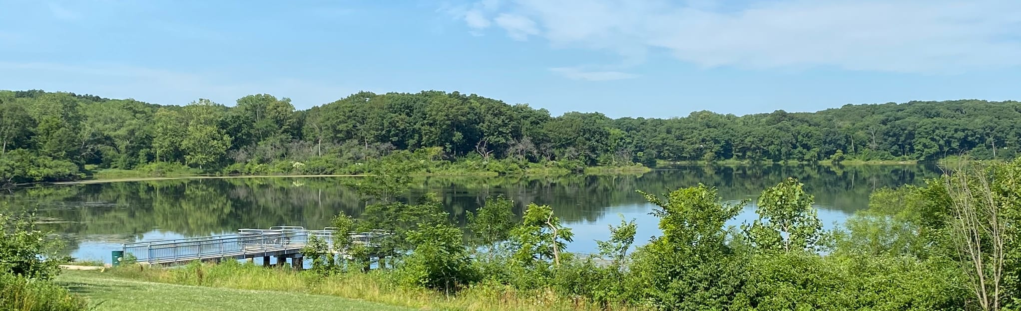 Palos Trail System Maple Lake Singletrack Loop IllinoisN AllTrails