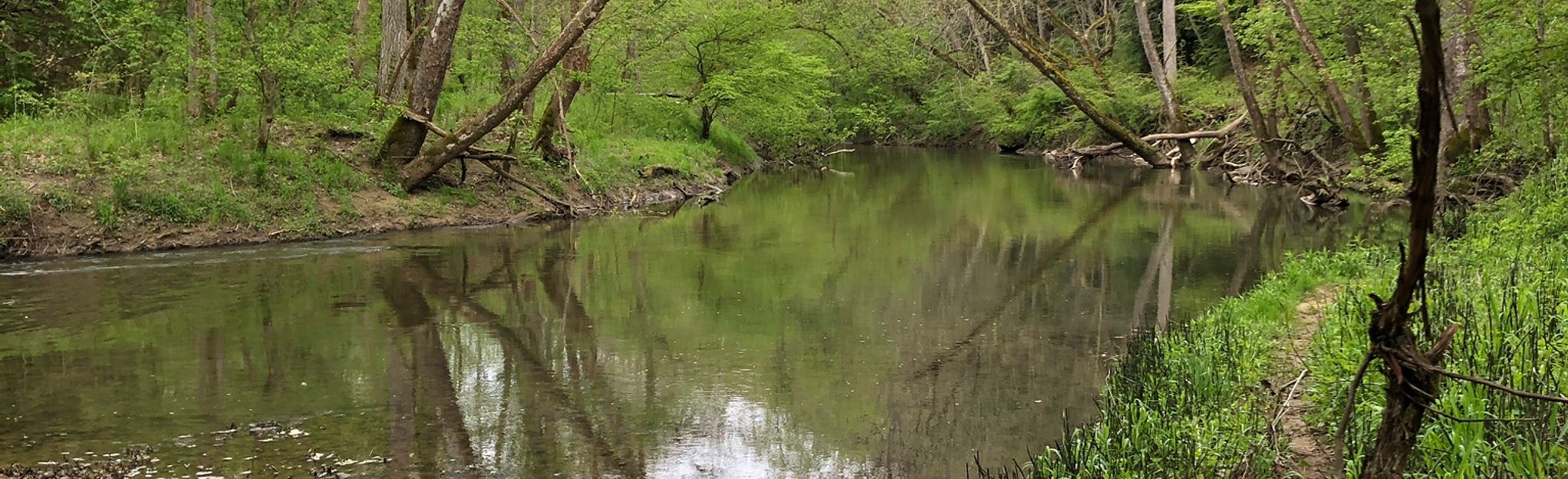 Hemlock to Creekside Meadows Trail: 101 Reviews, Map - Ohio | AllTrails