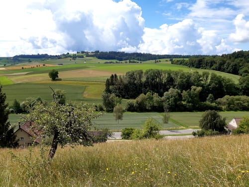 Ostweg, Etappe 10: Stühlingen - Schaffhausen