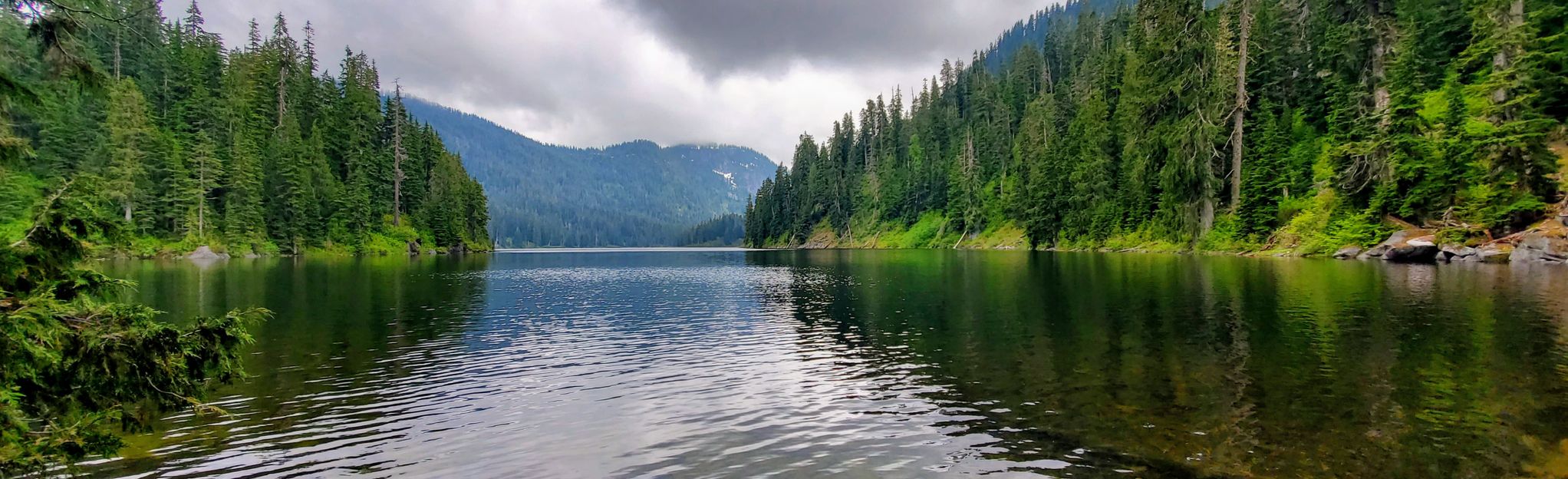 Snoqualmie Lake via Taylor River Trail, Washington - 238 Reviews, Map ...