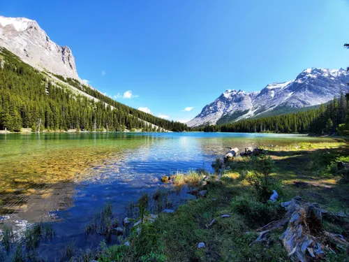 10 Best Trails and Hikes in Kananaskis Improvement | AllTrails