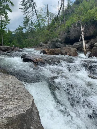 10 Best Hikes and Trails in Cohutta Wilderness | AllTrails