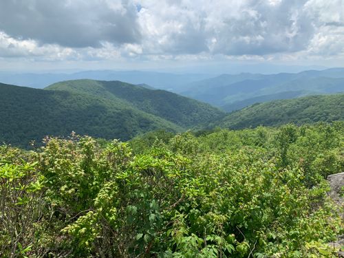 2023 Best Trails near Big Chestnut Bald | AllTrails