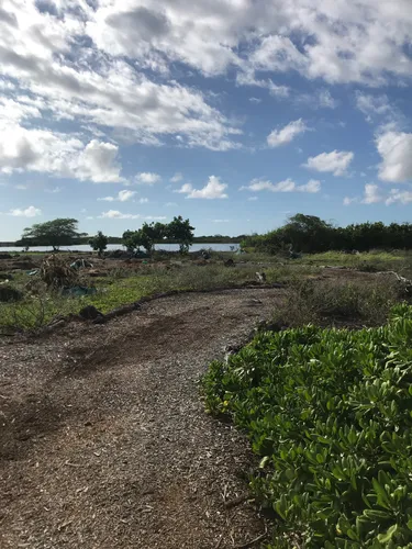 10 Best Trails and Hikes in Kailua Kona | AllTrails