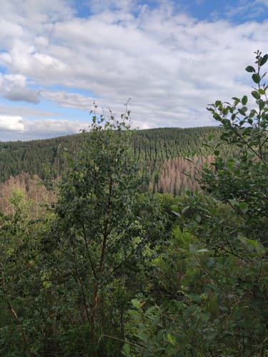 Winterwanderweg Erkensruhr