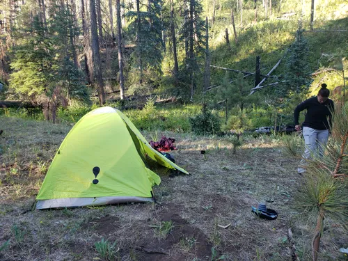 Best Hikes and Trails in Bear Wallow Wilderness | AllTrails
