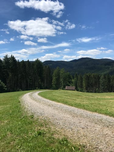 Von Alisehof über Höll