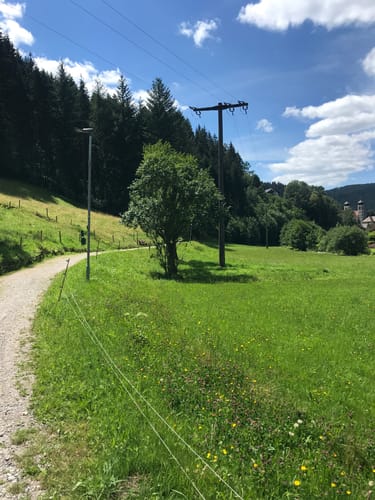 Von Alisehof über Höll