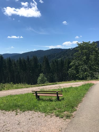 Von Alisehof über Höll