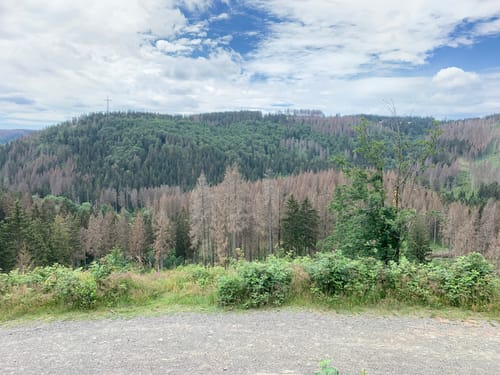 Sankt Andreasberg - Bad Lauterberg - Kirchberg