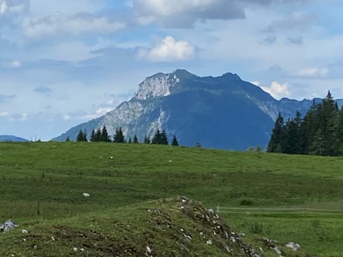 Almgenuss (Premiumwanderweg)
