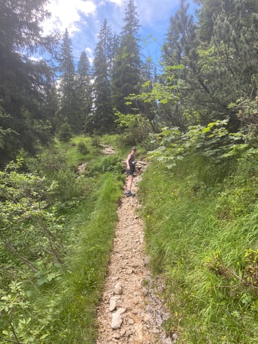 Almgenuss (Premiumwanderweg)