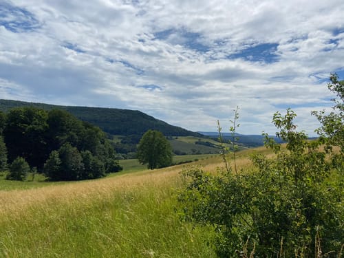 Plesse P5 (Premiumwanderweg)