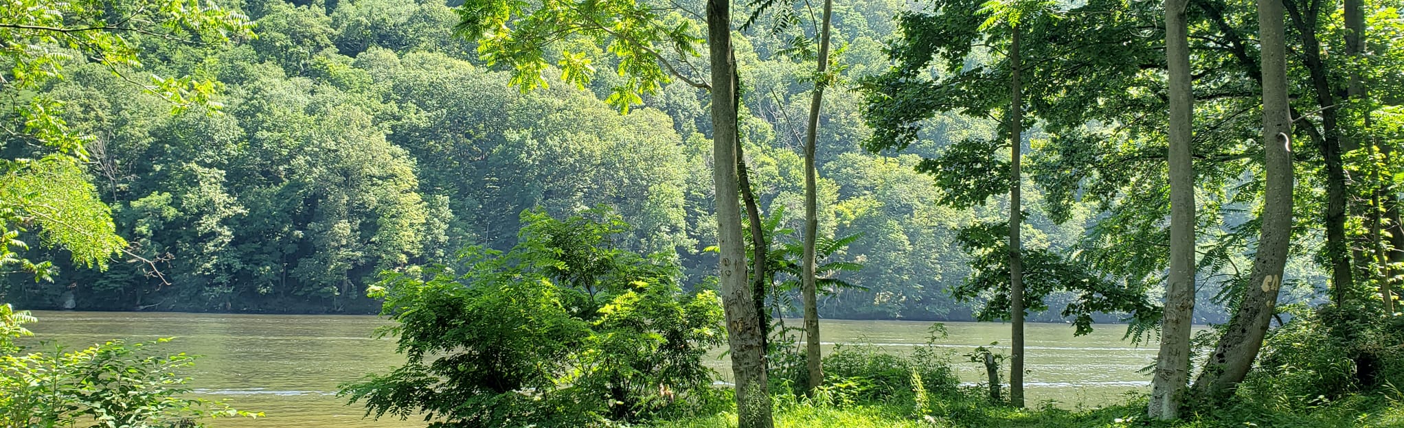 Snake Hill to Cheat River via Creekside Trail, West Virginia 106 Reviews, Map AllTrails