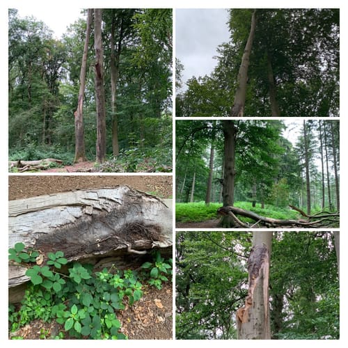 Wanderung bei Winnekendonk
