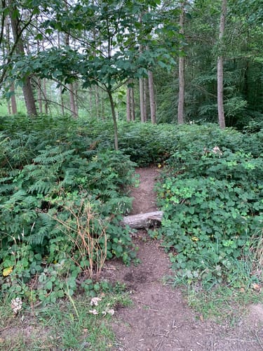 Wanderung bei Winnekendonk
