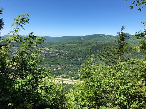 2023 Best Wildlife Trails in Parc de la forêt ancienne du Mont Wright