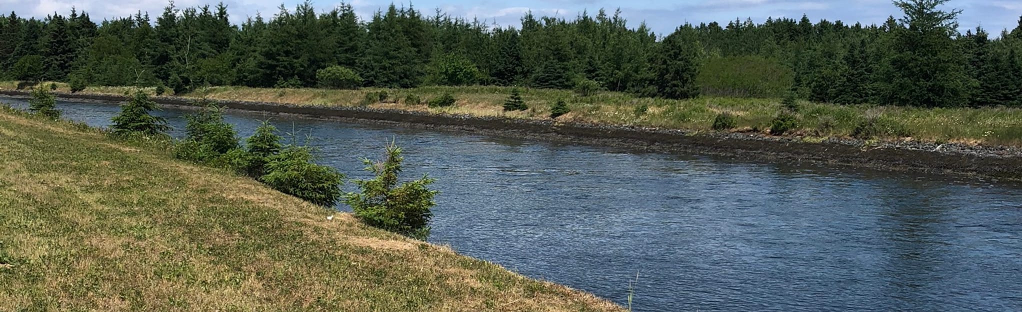 Pointe MacLaghlan, New Brunswick, Canada 4 Reviews, Map AllTrails