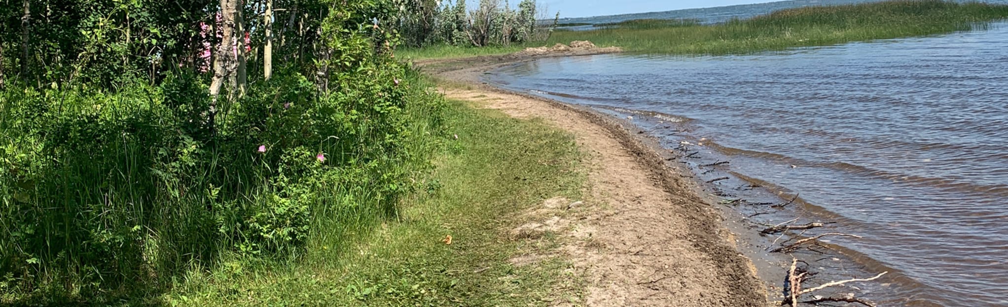 Rochon Sands Loop 39 Fotos Alberta, Kanada AllTrails