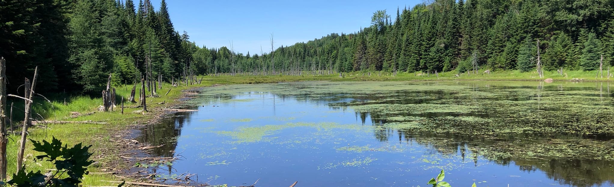 Lac SaintJoseph Loop 50 Reviews, Map Quebec, Canada AllTrails