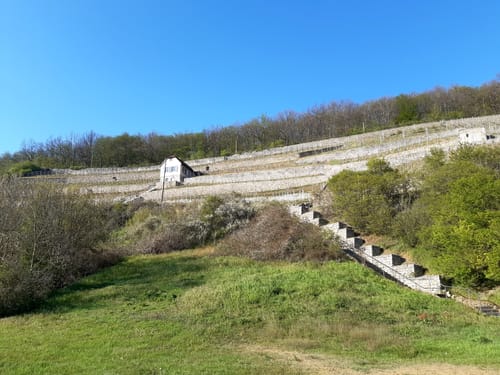 Saale-Wanderung: Camburg - Bad Kösen